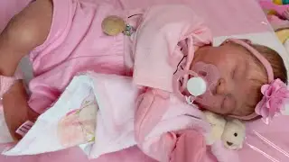 TROQUINHA DA MANHÃ DA BEBÊ REBORN ANA LAURA #kitlaura