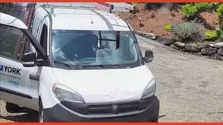 Wild Bear Pulls Off Perfect Heist at Our HVAC Jobsite (Real Security Footage) 