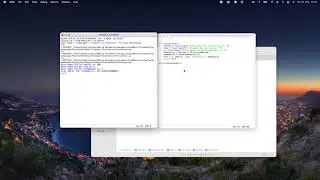 Python Zinsrechner