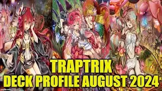 TRAPTRIX DECK PROFILE (AUGUST 2024) YUGIOH!