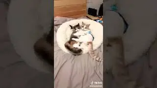 Karanlıkta sevişme