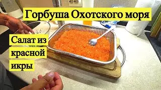 Pink salmon of the Sea of Okhotsk. Red caviar salad!