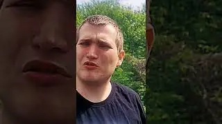 В лес приходит сказка #music #anime #угар #мем