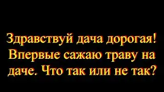 Впервые сажаю траву  Что так что не так