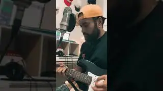 Sunflower (Cover)