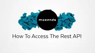 How To Access The Rest API