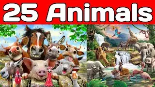 25 Animals name in hindi and english with pictures - 25 जानवरों के नाम - Learn English Vocabulary