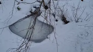 Прощание с Зимой, стрим