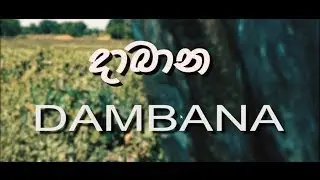 Sri Lanka Dambana Wedi Gammanaya tribe (දඹාන අාදිවාසි ජනතාව )