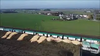 Украинское зерно в Польше