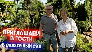 Приглашаем в гости   в сказочный сад