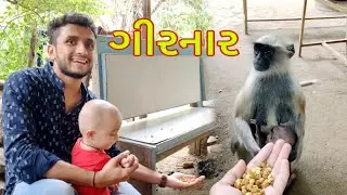 ગિરનાર ની સીડી એ મજા કરી || dhaval domadiya