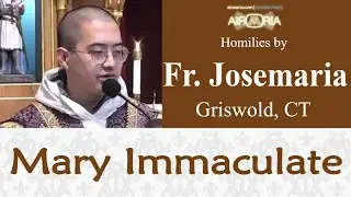 Immaculate Conception Explained - Dec 05 - Homily - Fr Josemaria