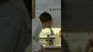 Повысили зарплату в 2 раза😂 [6 кадров] 