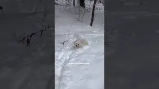 А вы из какого лагеря?