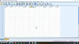 how to analyze categorical-gender data SPSS