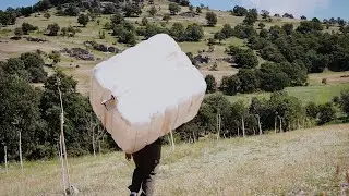 The Situation is Dire - Field Diaries #2 | Rural Life