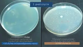 SelfClean - эксперимент по размножению бактерий на поверхности теплообменника кондиционера Haier