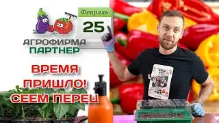 Время пришло! Сеем перец | 