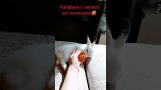 Сладкие выходные🍓