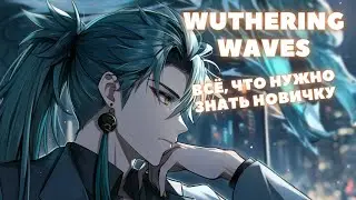 Wuthering Waves ❃ Разбираемся в механиках ❃ Гайд для самых любознательных