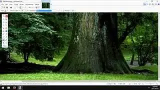 Paint.NET: How to Remove Basic Watermarks