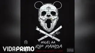 Anuel AA - RIP Panda [Official Audio]