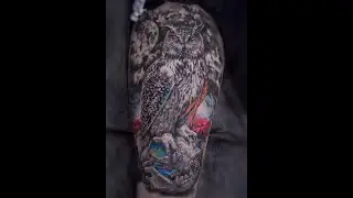 Тату сова с черепом на ноге | Owl and Skull Tattoo Time Lapse |  