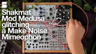 Shakmat Mod Medusa glitching Make Noise Mimeophon