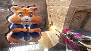 ХАМСТЕР КРИМИНАЛ 🎰