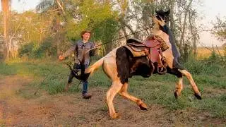 FIRST TIME OUTSIDE The Round Pen! | Taming A Wild Horse [EP 7]