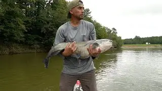 La Pelea Mas Larga Con Este Pez, Pesca De Bagres De Ríos
