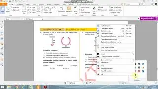 pdf dokumanından resim alma