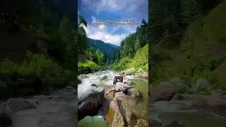 #nature #shortsyoutube #short #shahrukh_khan #trendingshorts