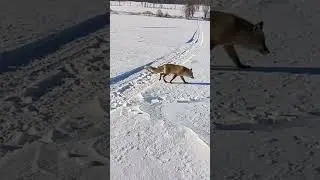 Пришла порыбачить.