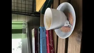 19 || Книжные покупки || И небольшие читательские планы на июль...