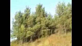 Потутори-Божиків (частина), осінь 2011го.