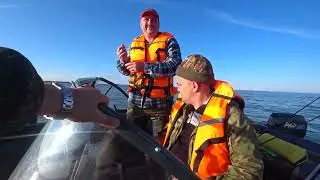 Окунь,судак в окресностях Тайваня