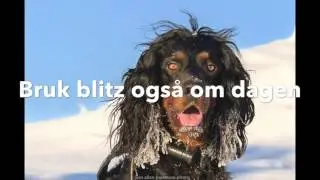 Mine firbeinte venner   bonustips