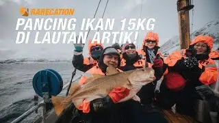 BEST GILER M. NASIR NAIKKAN IKAN SEBERAT 15KG DI LAUTAN ARTIK LOFOTEN!!