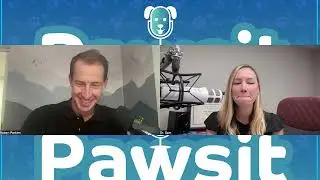 AI in vet med?