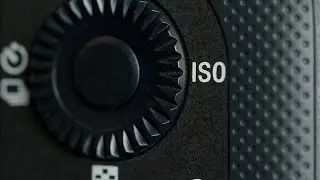 ¿Qué es el ISO de una CÁMARA?