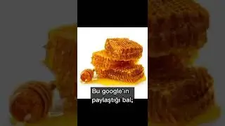 ciddiyim google gerçekten yalan bilgiler paylaşıyo