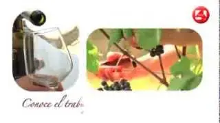 Visita gratuita a la Bodega San Esteban Protomartir en Cenicientos