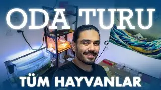 Neler Oldu,Oluyor,Olacak? | Oda Turu