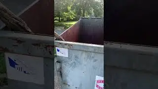 Animal Rescue; Otis The Dumpster Raccoon #animals