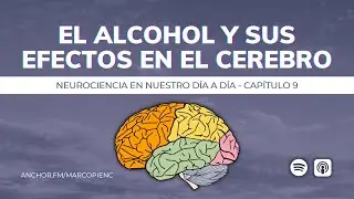 EL ALCOHOL Y SUS EFECTOS EN EL CEREBRO