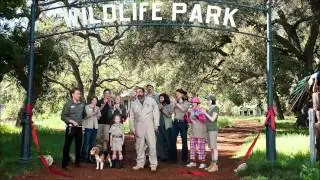 We Bought a Zoo - We Bought a Zoo (Jonsi)