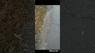 следствие ведут....
