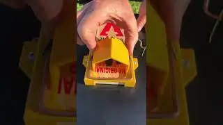 How to set a professional victor rat trap! 🪤🐀 